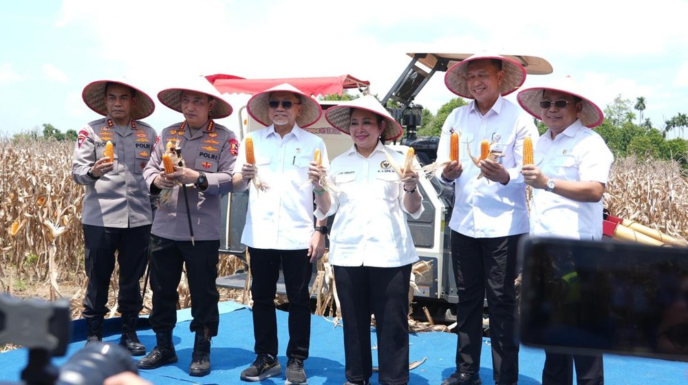 Panen Jagung, Asa Lumbung Pangan Dunia Menguat