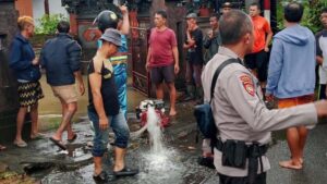 Tragis! Warga Bali Tewas Saat Banjir Landa Jembrana